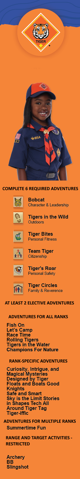 Tiger Rank At a Glance